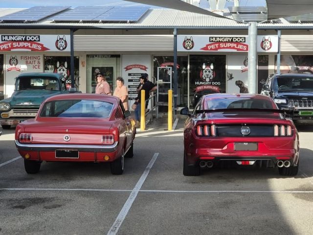 Mustanges
