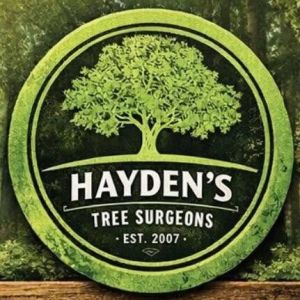 Hayden's Tree Surgeons